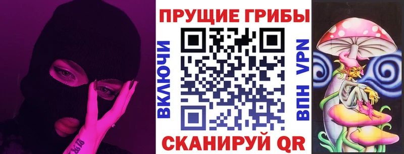 Галлюциногенные грибы Cubensis  МЕГА   Вологда 